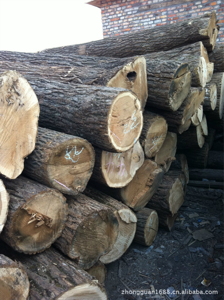 东北木材种类图片