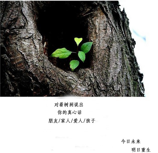 树洞论坛