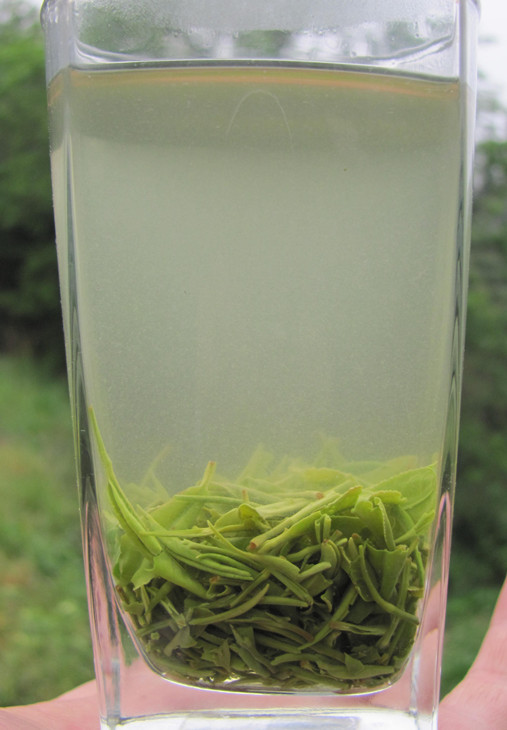 绿茶 信阳毛尖雨前茶大山茶一级一芽一叶 2012年新茶 实物拍摄