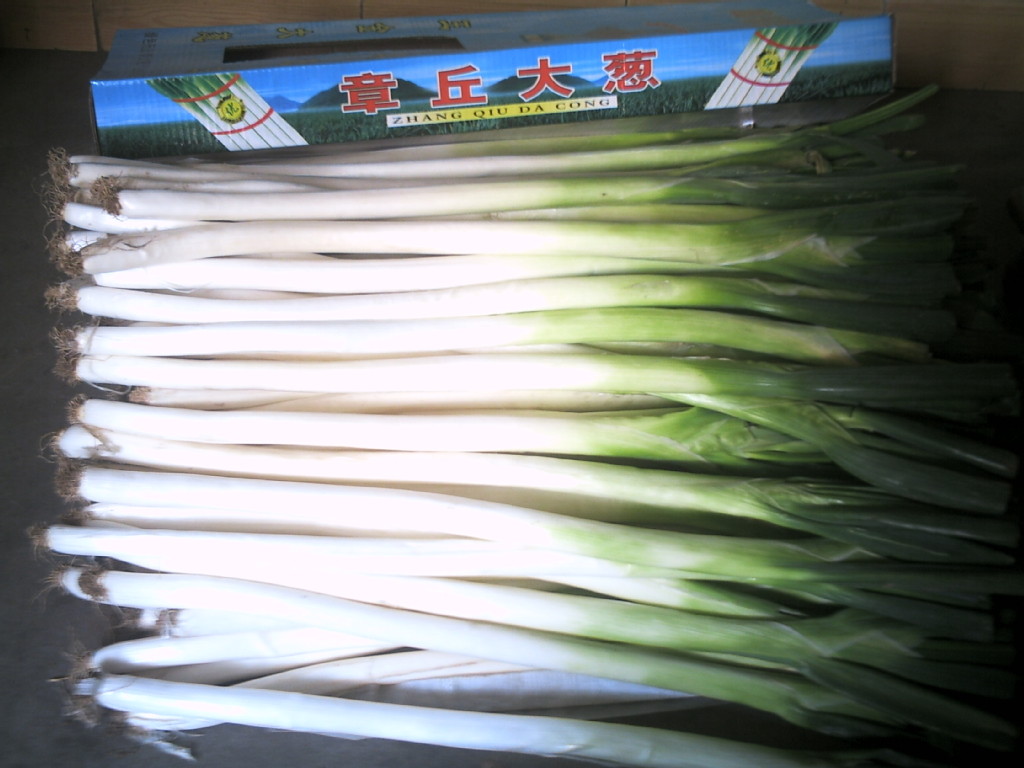 山东章丘王金大葱(盒装精选净葱)节日特价