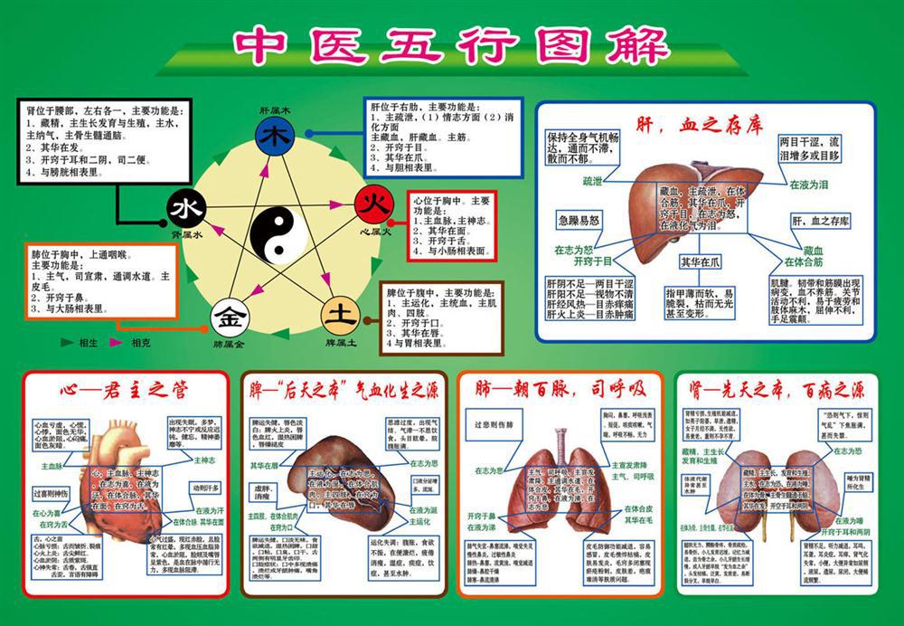 208海报展板办公装饰2471 中医阴阳五行图解