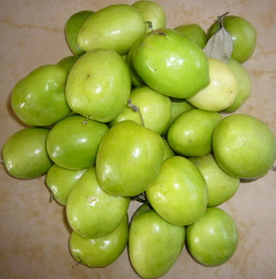 牛奶青枣5元一斤20斤一箱台湾蜜枣品种中型果味道甜口感脆