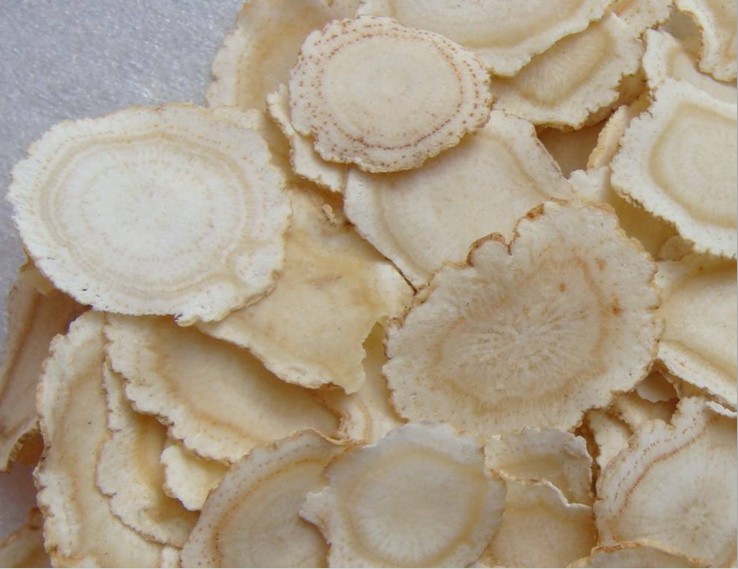 批发供应 中药材 中药饮片 西洋参 西洋参片