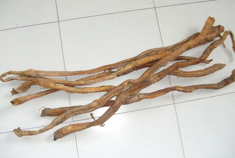 牦牛鞭 食材 怕冷 手脚冰凉 补肾壮阳食材