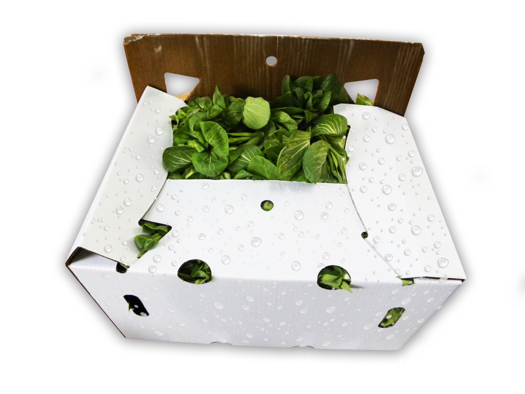 寿光供应蔬菜包装纸图片