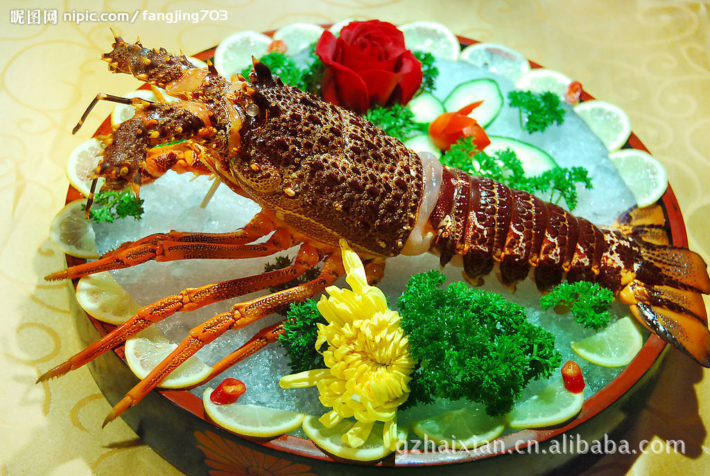 供应新鲜宴会可用[1至3]冰冻澳洲龙虾