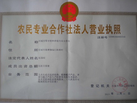 忻府区养殖合作社：农民增收的绿色引擎