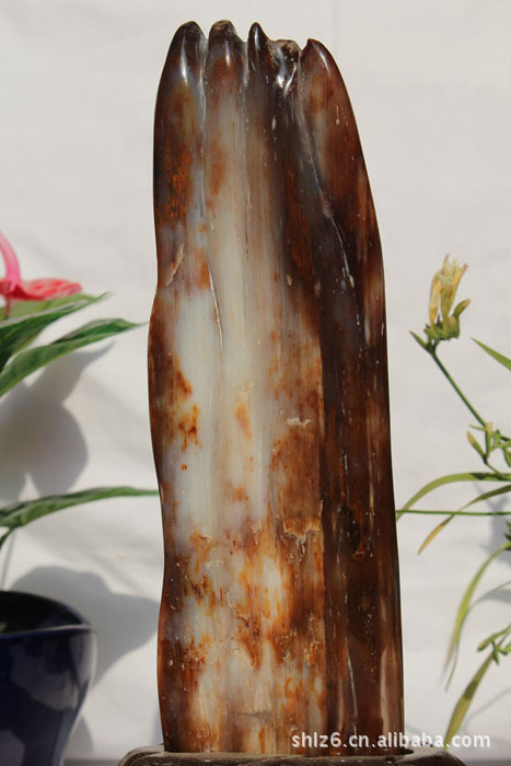 缅甸树化玉 精品 776 冰白咖啡 480.00元/件