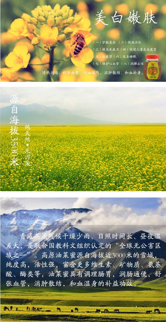野山花蜜 百花蜜 纯天然青藏高原蜂蜜 500克装 特价