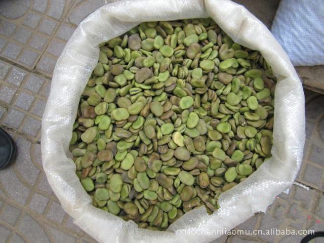 果蔬种子 农作物种子 江苏特产 青蚕豆种子 蚕豆种子 豌豆种子