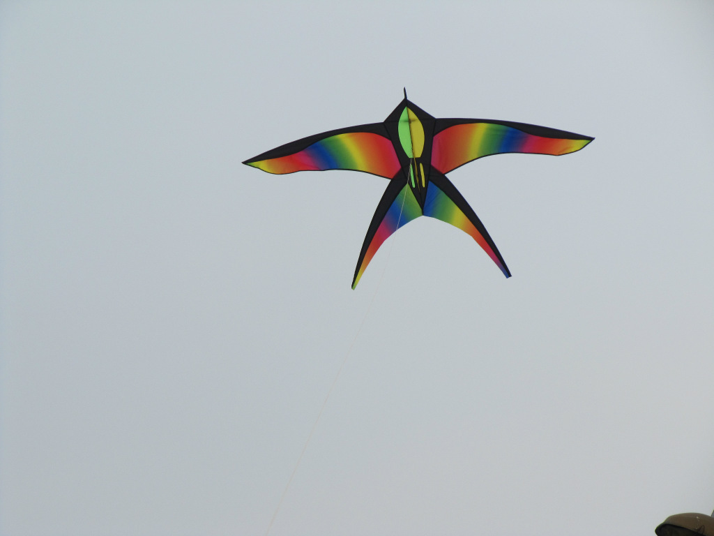 2012新款彩虹鸟风筝