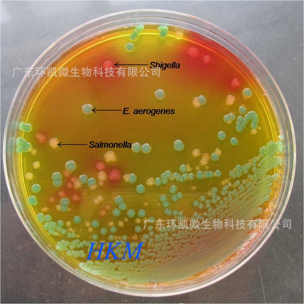 志贺氏菌显色培养基