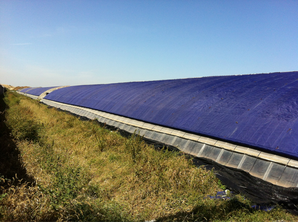 供应大棚棉被,用于蔬菜大棚,蘑菇大棚,鸡鸭大棚,等等!