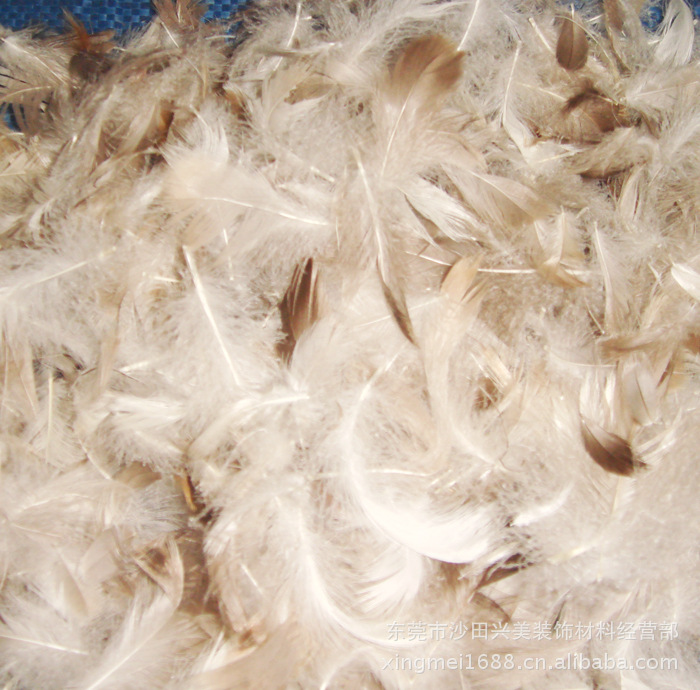首页 纺织材料 羽绒 鹅毛 >广东水洗灰鹅毛 厂家直销灰鹅毛2-4cm