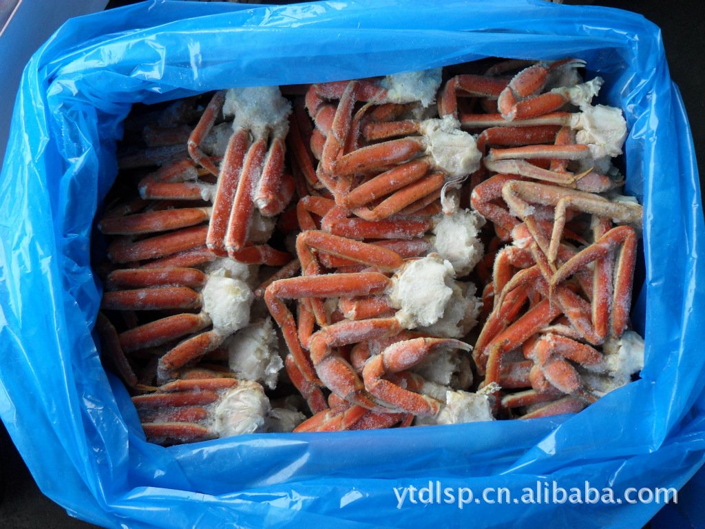 &nbsp;&nbsp;  英文名: snow crab &nbsp;   俗名: 雪蟹,皮匠蟹(美国)