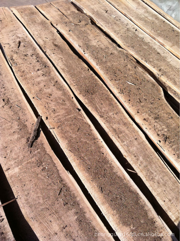 东北国产 楸木原木 木板材图片, 东北国产 楸木原木