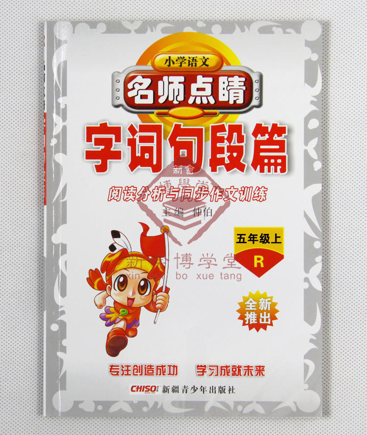 五年级 语文 名师点晴 字词句段篇 中小学教辅学生文具学习工具书