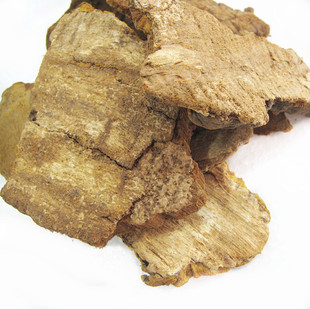 蘑菇-新品 天华山桑黄蘑 散装30元100克 正品专柜送人礼品-蘑菇尽在