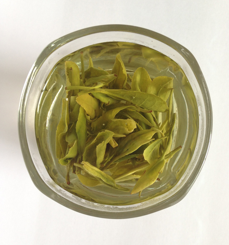 2013年新茶正宗松阳产地供货特价白茶白茶龙井胜西湖龙井8328