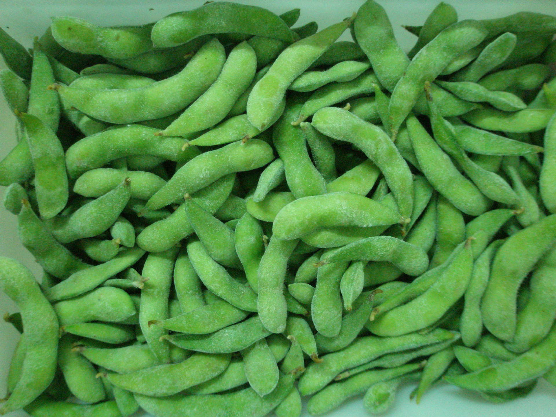 厂家直销批发果蔬新季优质新鲜绿色健康蔬菜 冷冻食品 速冻毛豆荚