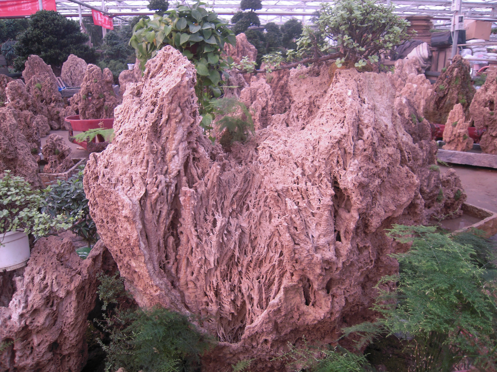 吸水石批发 吸水石零售 吸水石原石批发 园林景观石