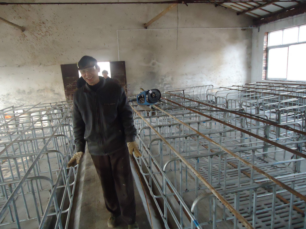 直销养猪设备定位栏 母猪定位栏.