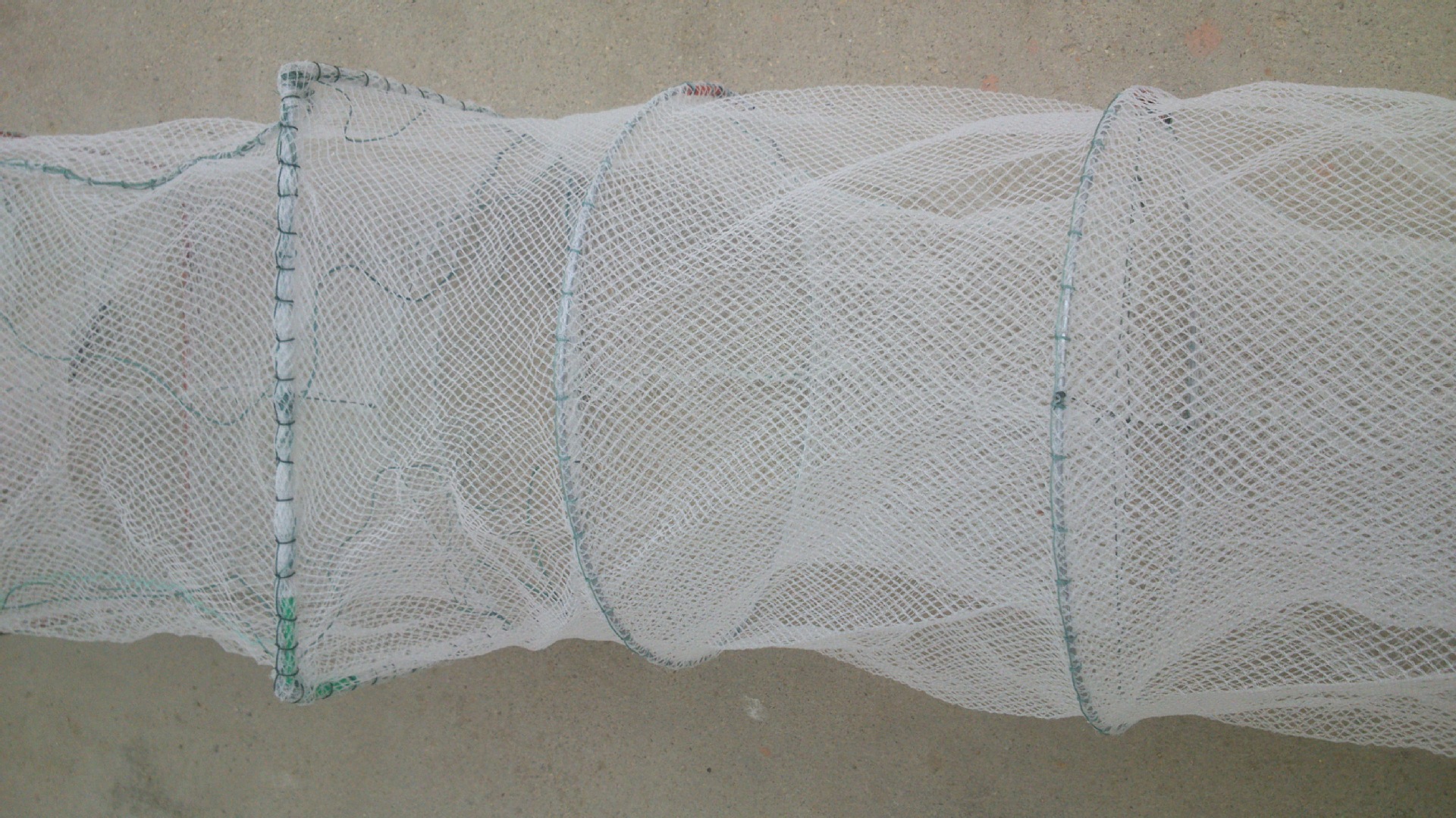 30*30节20米大地笼,虾笼图片_7