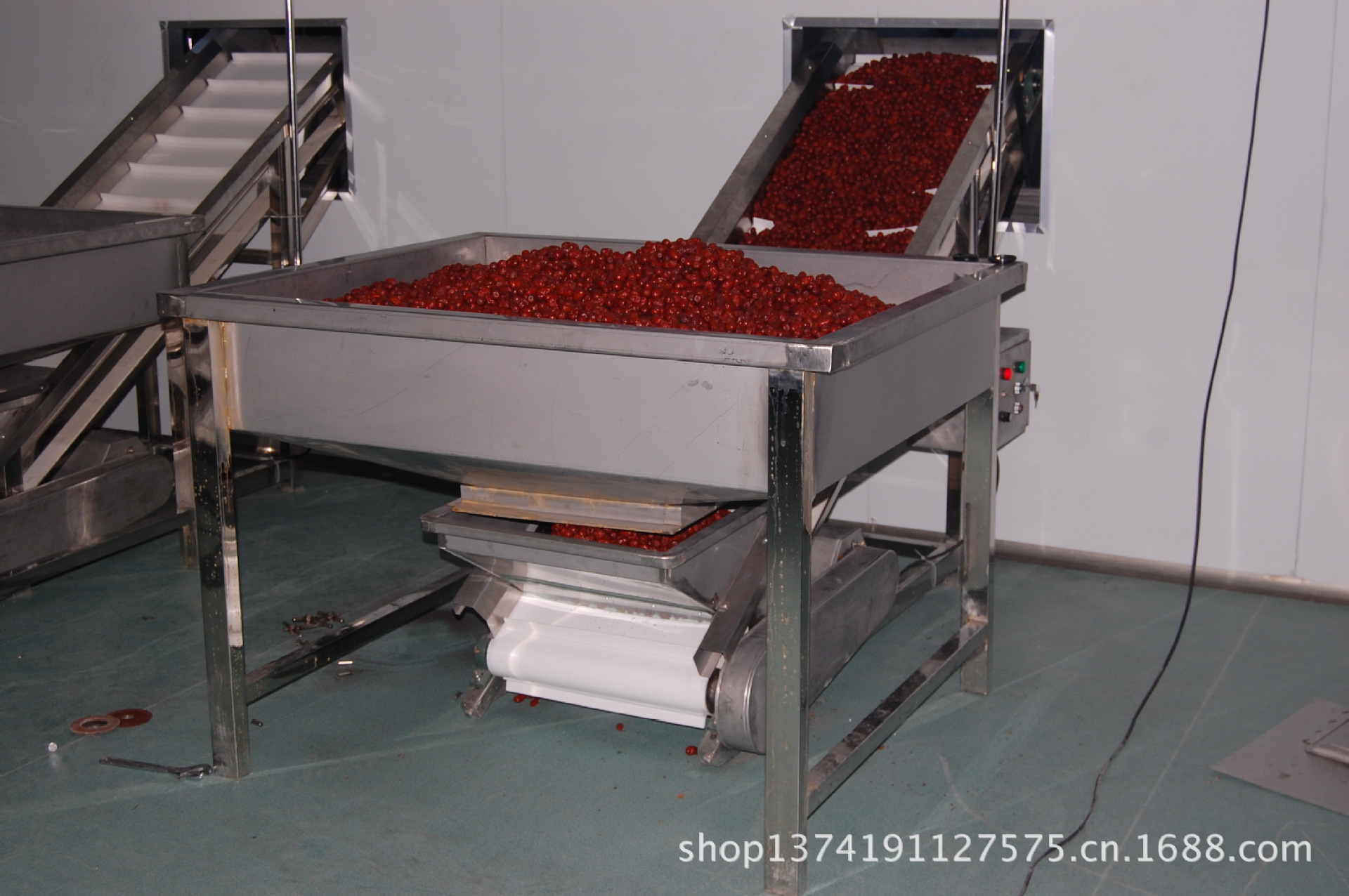 供应先进红枣加工生产线红枣挑选包装生产线0