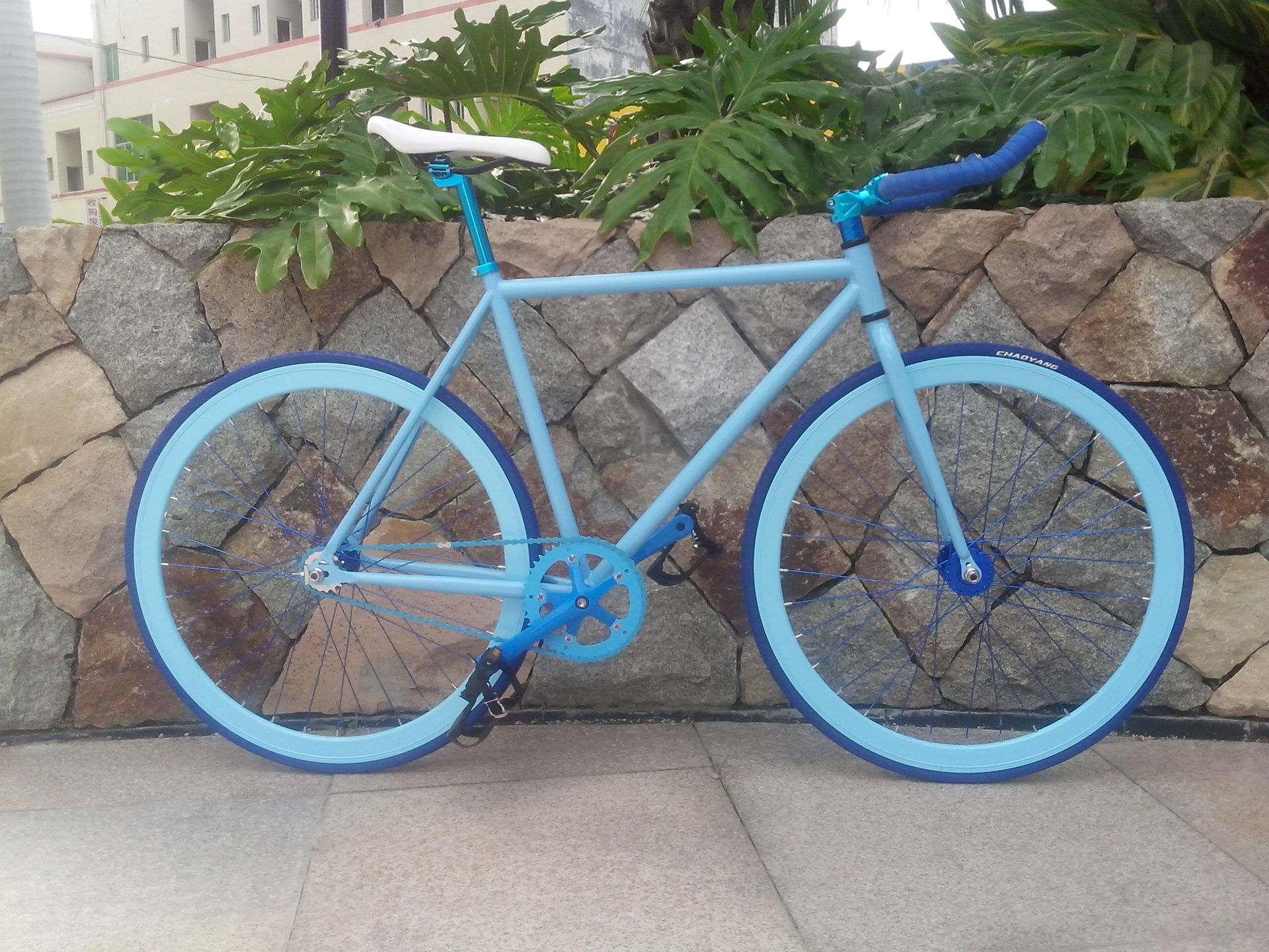 celt死飞车 牛角把倒骑死飞自行车 死/活双飞 自由配色diy