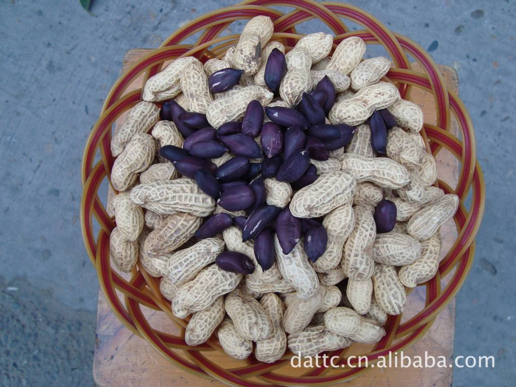 眉山青神土特产 黑皮花生 又叫作富硒黑花生 生花生图片_3