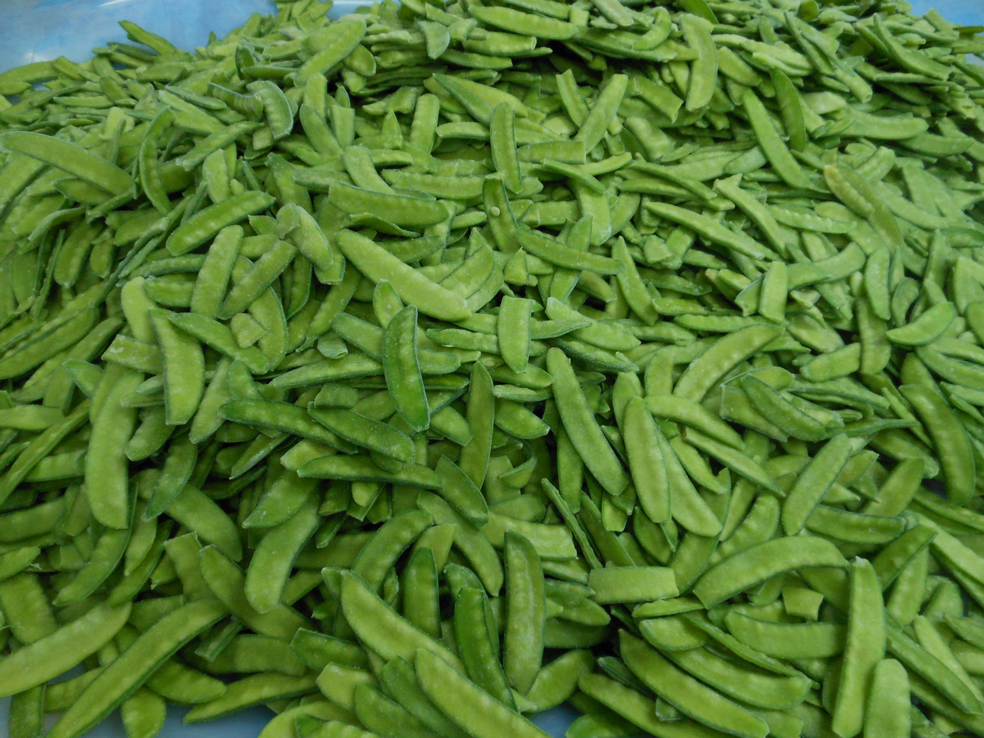 【厂家批发供应 冷冻蔬菜出口 速冻荷兰豆 正品 内销一吨起批】福建漳
