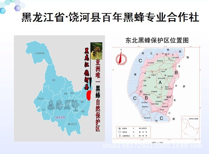 黑龙江省饶河县地图图片