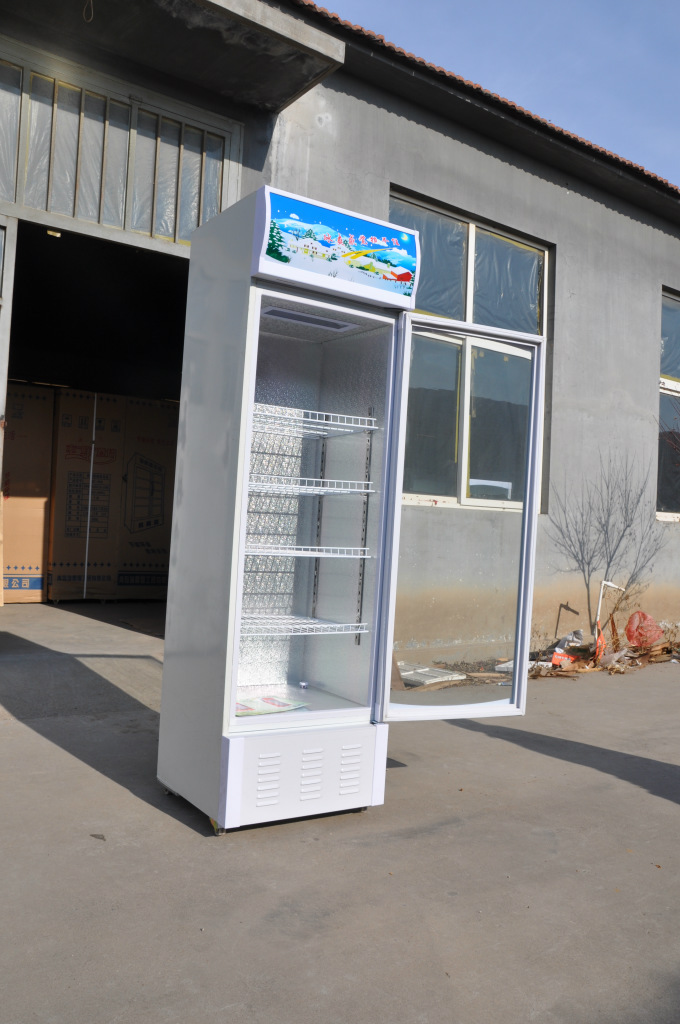 厂家直批]瑞晶雪单门立式展示柜 饮料保鲜冷藏玻璃柜小单门