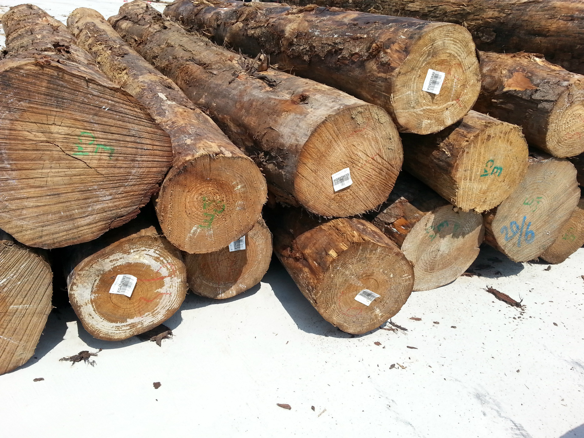 供应进口 噢洲松木 4~10m