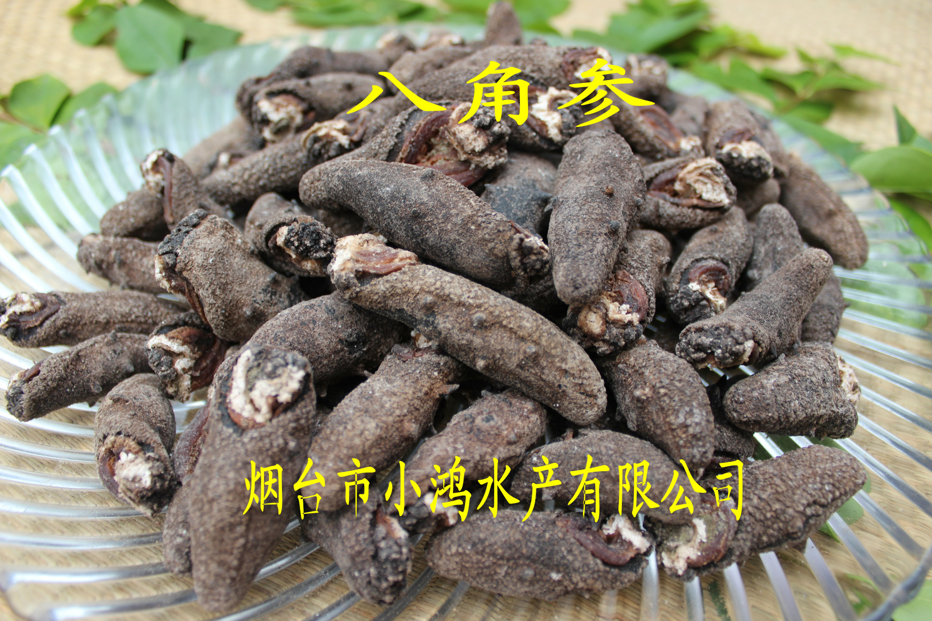 【北极参淡干30-60头 足干 肉厚】价格,批发,供应