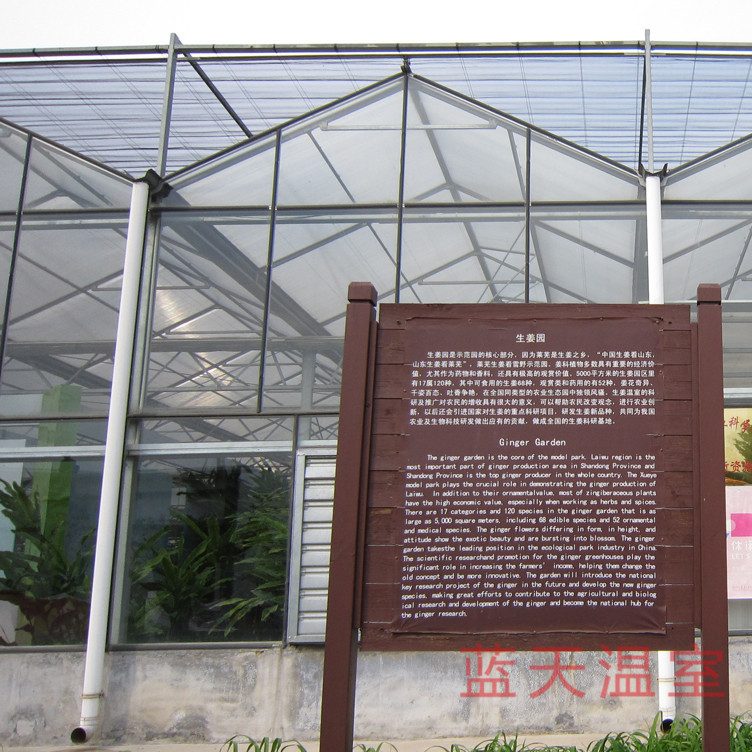 温室直销豪阔牌温室大棚玻璃连栋温室生态园温室
