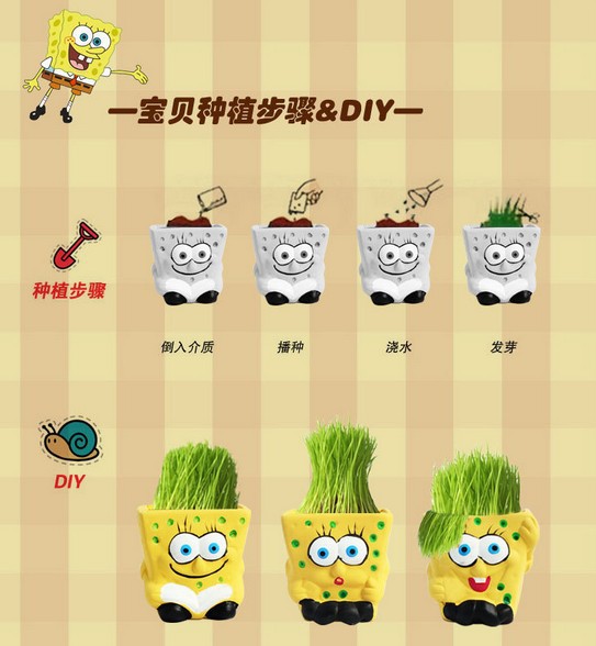 741韩款迷你桌面植物 海绵宝宝系列 栽培幸福 青草种植魔草批发