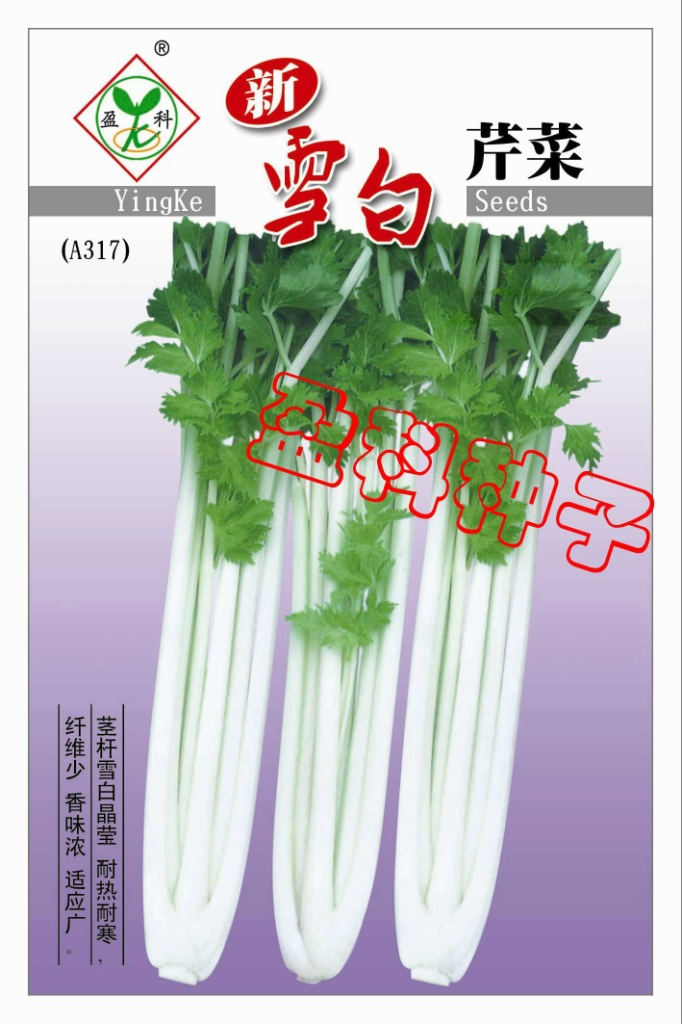 批发四季阳台蔬菜种子-开心农场-天台种植-雪白芹菜 25000粒