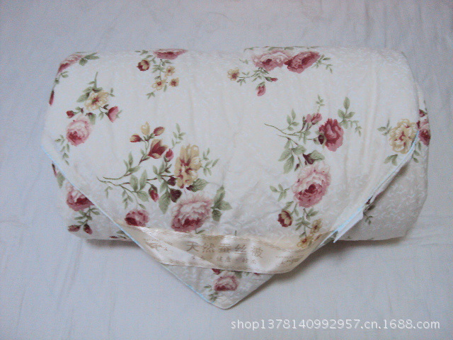 DSC06815