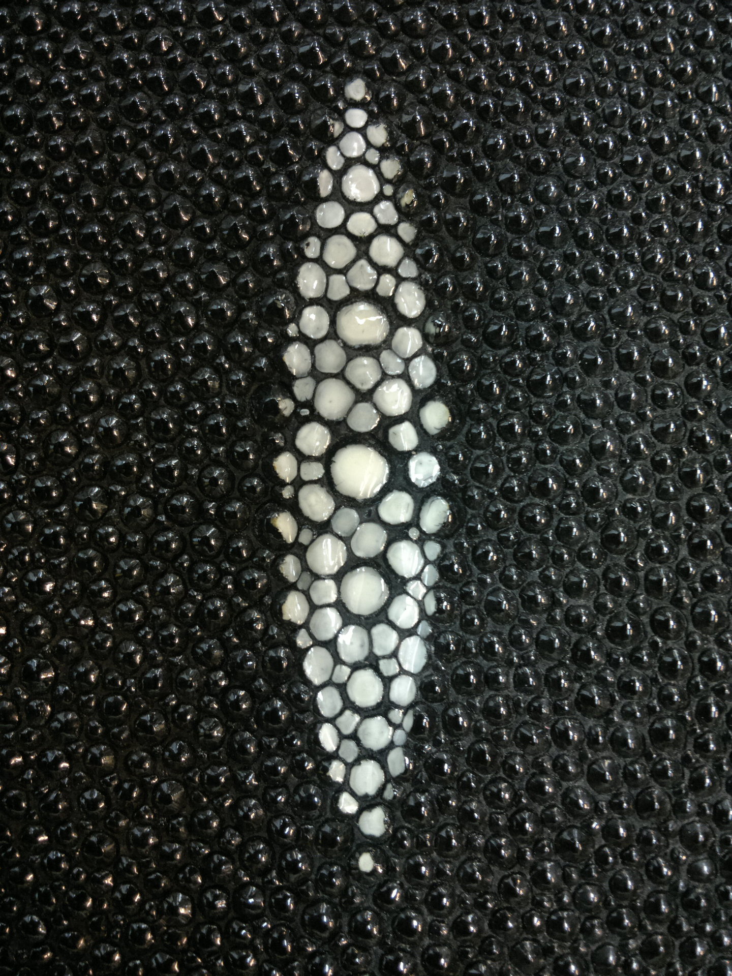 供应珍珠鱼皮,皮革