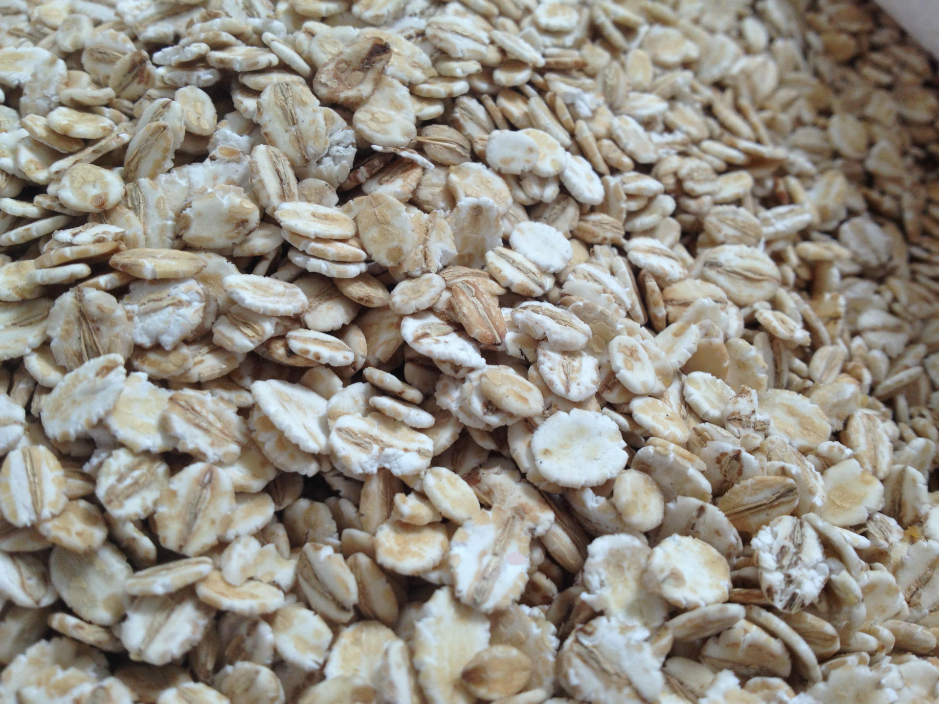 江苏省大丰市金麦缘麦仁厂 供应大麦片 厂家低价供应