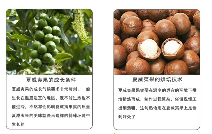 无添加剂 夏威夷果仁200g 重量:200g/袋 保质期:240天 产地:浙江省