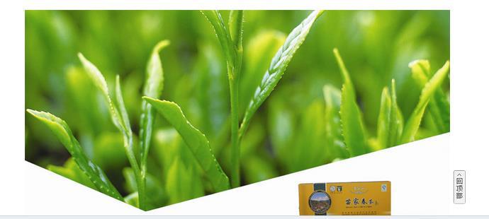 苗家春茶苗家玉针茶醉香茗绿茶天然健康原生态优质有机茶叶