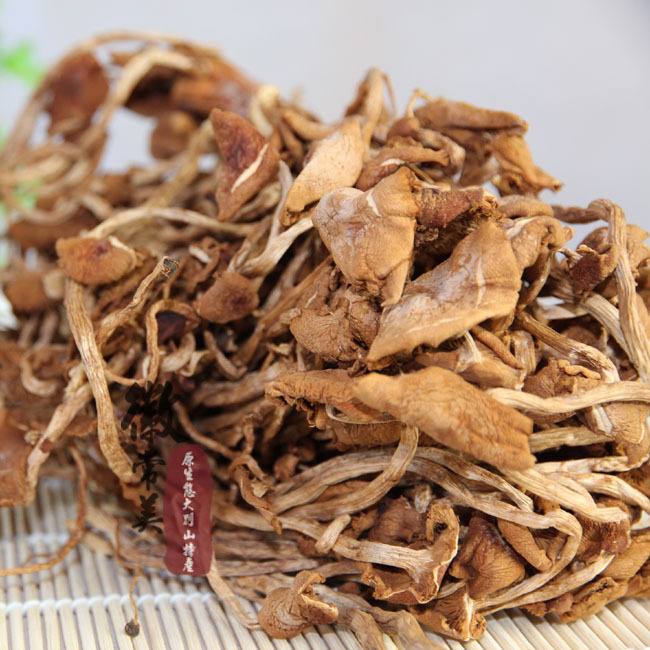 大别山特产 野生茶树菇