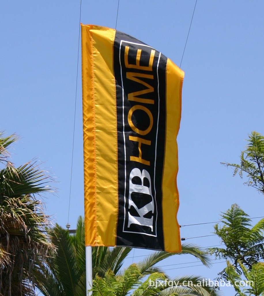 供应优质司标旗.公司旗,会旗,团旗,班旗