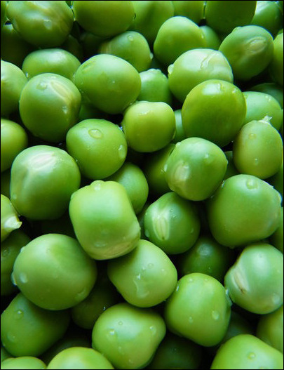加拿大优质绿豌豆3%以内脱色率