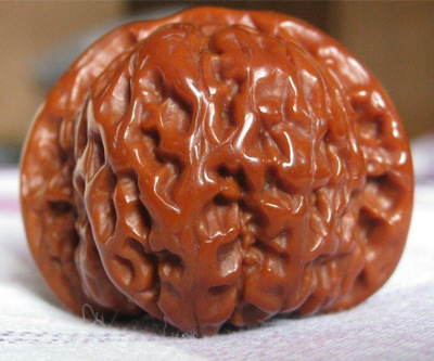 磨盘狮子头 文玩核桃 麻核桃 核桃苗 铁核桃图片_6