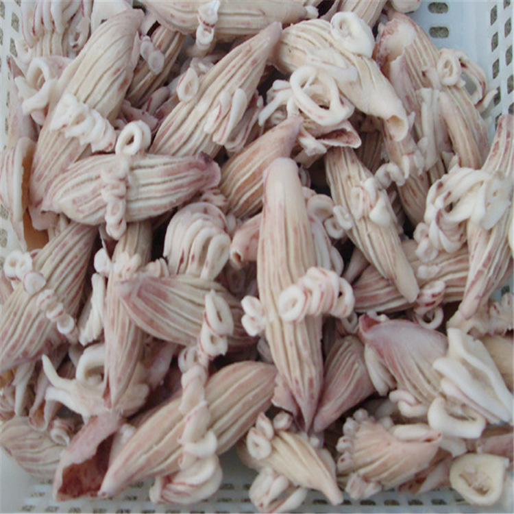 厂家海产品批发 冷冻牛角花切段牛耳花 原汁牛角花 海鲜 质量可靠