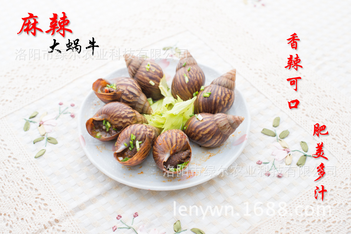 "快乐绿尔"牌麻辣大蜗牛|蜗牛肉食品|蜗牛食品|蜗牛菜