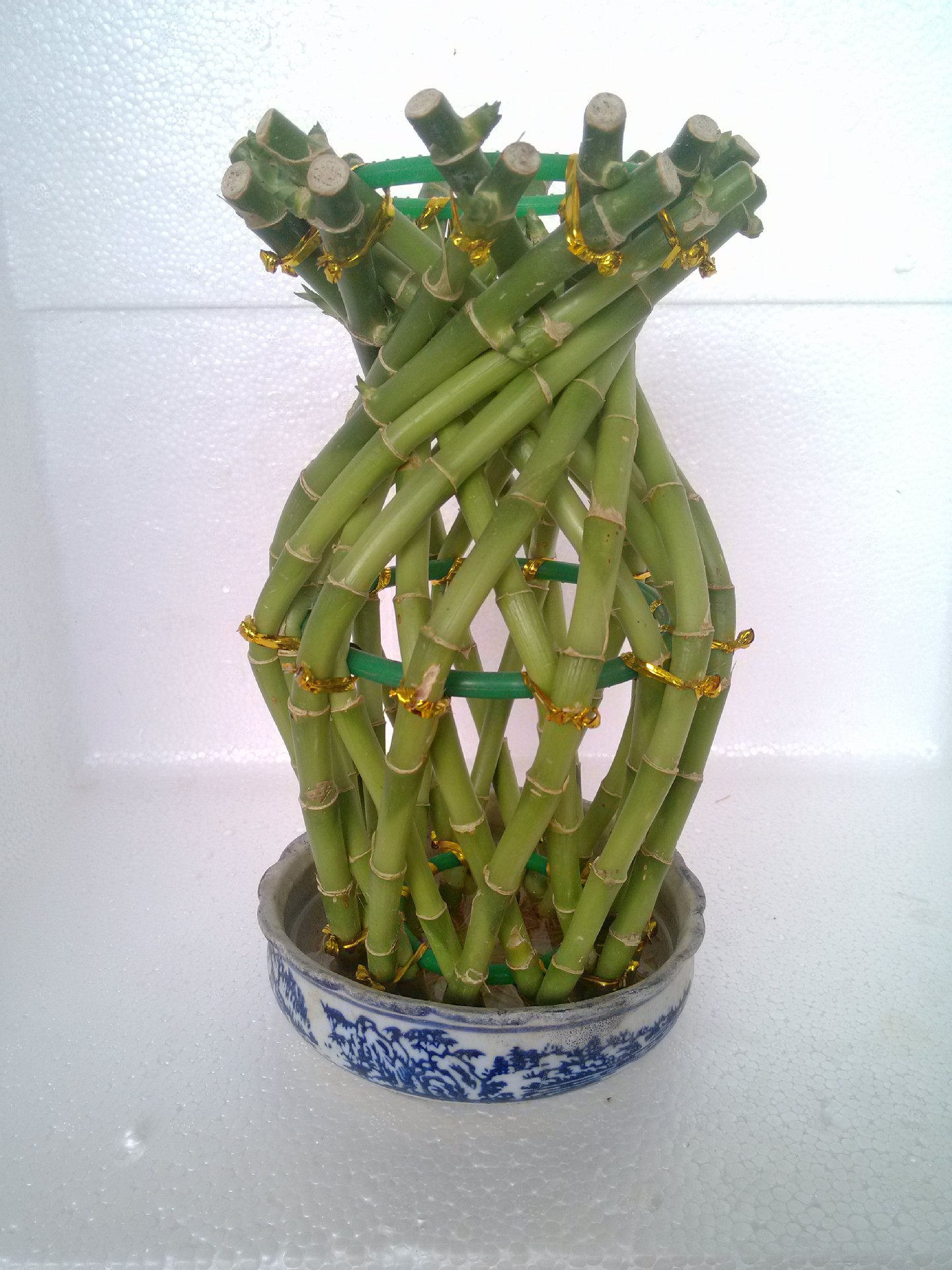 【直供】富贵竹批发--花瓶--编织类